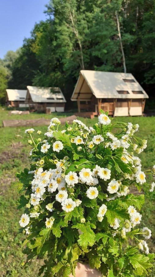 Глемпінг Шатро Hotell Ul'yaniki Eksteriør bilde