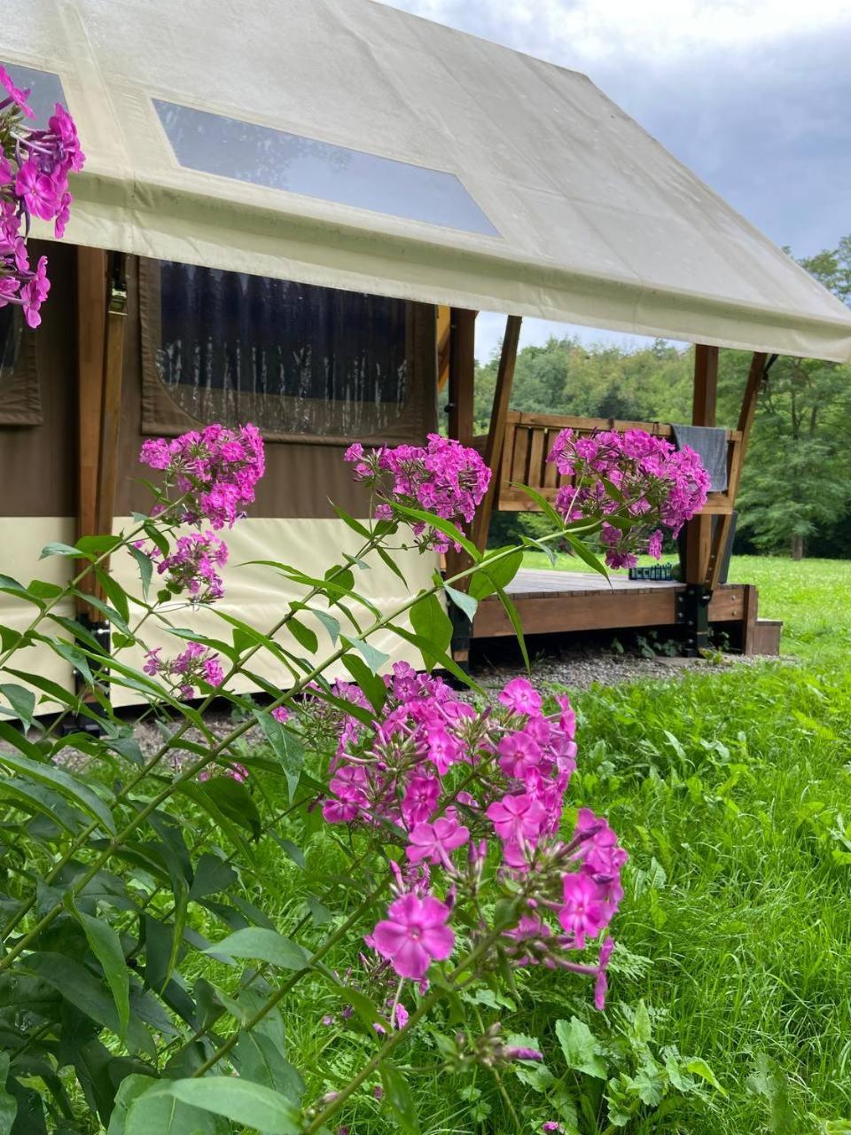 Глемпінг Шатро Hotell Ul'yaniki Eksteriør bilde